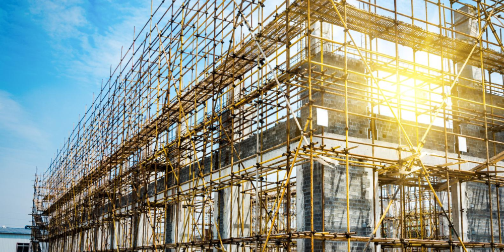 Untitled design - 2025-11-16T124852.201