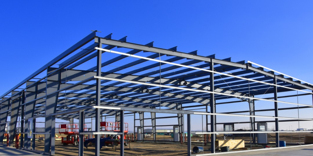 Untitled design - 2025-11-16T132037.971